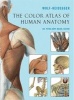 The Color Atlas of Human Anatomy (Paperback) - G Wolf Heidegger Photo