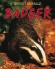 Badger (Paperback) - Michael Leach Photo