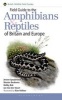 Field Guide to the Amphibians and Reptiles of Britain and Europe (Hardcover) - Wouter Beukema Photo