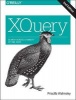 XQuery - Search Across a Variety of XML Data (Paperback) - Priscilla Walmsley Photo