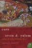 The Schopenhauer Cure - A Novel (Paperback) - Irvin D Yalom Photo