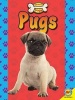 Pugs (Paperback) - Susan H Gray Photo