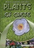 Plants of Crete - Healing, Aromatic & Edible (Paperback) - Adonis Alibertis Photo