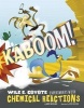 Kaboom! - Wile E. Coyote Experiments with Chemical Reactions (Hardcover) - Mark Weakland Photo