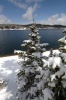 Snow Covered Pine Trees Beside North Catamount Reservoir Colorado USA Journal - 150 Page Lined Notebook/Diary (Paperback) - Cs Creations Photo