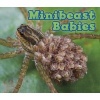 Minibeast Babies (Paperback) - Catherine Veitch Photo