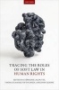 Tracing the Roles of Soft Law in Human Rights (Hardcover) - Stephanie Lagoutte Photo