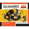 Salamander: - Master of Regrowth (Hardcover) - Josh Plattner Photo