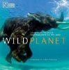 Wild Planet - Celebrating Wildlife Photographer of the Year (Paperback) - The Natural History Museum Photo