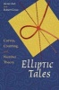 Elliptic Tales - Curves, Counting, and Number Theory (Paperback) - Avner Ash Photo