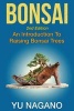 Bonsai - An Introduction to Raising Bonsai Trees (Paperback) - Yu Nagano Photo