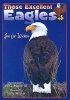 Those Excellent Eagles (Hardcover) - Jan L Wicker Photo