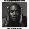 : The Black Book (English, German, Hardcover) - Robert Mapplethorpe Photo