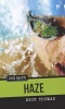 Haze (Paperback) - Erin Thomas Photo