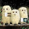 Owl Babies Advent Calendar (with Stickers) (Calendar) -  Photo