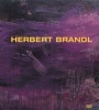 Herbert Brandl (Hardcover) - Florian Steininger Photo