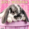 Just Bunnies (Calendar) - Willow Creek Press Photo