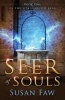 Seer of Souls - (The Spirit Shield Saga Book One) (Paperback) - Susan Faw Photo