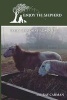 Enjoy the Shepherd - Daily Lessons from Sheep (Paperback) - MR Ray Carman Photo