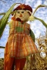 A Charming Harvest Scarecrow in the Field Journal - 150 Page Lined Notebook/Diary (Paperback) - Cs Creations Photo