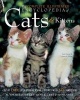 The Complete Illustrated Encyclopedia of Cats & Kittens (Hardcover, New edition) - Lee Harper Photo