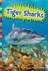 Tiger Sharks (Hardcover) - Laura Hamilton Waxman Photo