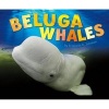 Beluga Whales (Hardcover) - Elizabeth R Johnson Photo