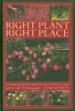 Right Plant Right Place - Choosing the Perfect Plant for Every Location in Your Garden, with 120 Photographs (Hardcover) - Jackie Matthews Photo