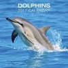 Dolphins Calendar 2017 (Calendar) - Peony Press Photo