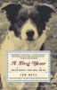 A Dog Year - Twelve Months, Four Dogs, and Me (Paperback, Random House trade pbk. ed) - Jon Katz Photo