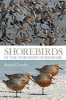 Shorebirds of the Northern Hemisphere (Paperback) - Richard Chandler Photo