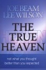 The True Heaven - Not What You Thought, Better Than You Expected (Paperback) - Joe Beam Photo