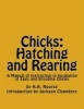 Chicks - Hatching and Rearing: A Manual of Instruction in Incubation of Eggs and Brooding Chicks (Paperback) - H A Nourse Photo