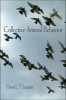 Collective Animal Behavior (Paperback, New) - David J T Sumpter Photo