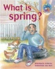 What is Spring? - Cur 2005 (Book) -  Photo