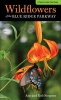 Wildflowers of the Blue Ridge Parkway - A Pocket Field Guide (Paperback) - Ann Simpson Photo