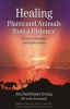 Healing Plants and Animals from a Distance - Curative Principles and Applications (Paperback) - Jim Pathfinder Ewing Photo