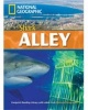 Shark Alley (Paperback) - Rob Waring Photo