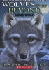 Wolves of the Beyond #1: Lone Wolf (Paperback) - Kathryn Lasky Photo