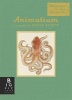 Animalium (Hardcover, Mini Gift ed) - Jenny Broom Photo