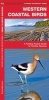 Western Coastal Birds - A Folding Pocket Guide to Familiar Species (Pamphlet) - James Kavanagh Photo