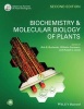 Biochemistry and Molecular Biology of Plants (Paperback, 2nd Revised edition) - Bob B Buchanan Photo