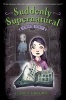 School Spirit (Paperback) - Elizabeth Cody Kimmel Photo