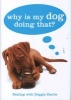 Why Is My Dog Doing That? - Dealing with Doggie Don'ts (Hardcover) - Gwen Bailey Photo