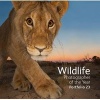 Wildlife Photographer of the Year Portfolio 23, Portfolio 23 (Hardcover) - Natural History Museum Photo