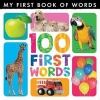 My First Book of Words: 100 First Words (Hardcover) - Little Tiger Press Photo