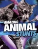 Amazing Animal Stunts (Hardcover) - Lisa M Simons Photo