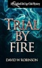 Trial by Fire (#14 - Sanford Third Age Club Mystery) (Paperback) - David W Robinson Photo