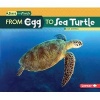 From Egg to Sea Turtle (Paperback) - Lisa Owings Photo