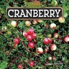 Cranberry (Hardcover) - Jackie Lee Photo